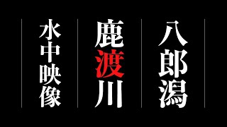 【八郎潟 バス釣り】鹿渡川の水中映像撮影しました。