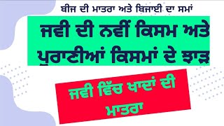 Oat varieties,seedrate ,sowing time and fertiliser application/ਜਵੀ ਦੀਆਂ ਕਿਸਮਾਂ ਬੀਜ ਅਤੇ ਖਾਦ ਪ੍ਰਬੰਧਨ