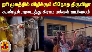 நரி முகத்தில் விழிக்கும் விநோத திருவிழா -  கூண்டில் அடைத்து கிராம மக்கள் ஊர்வலம்