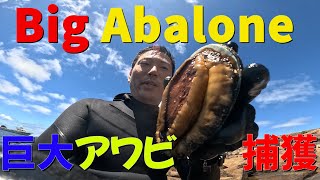 【巨大アワビ捕獲か！？】西オーストラリアでクリスマストリップ Christmas trip in Margaret River. Day1: Catching Abalone in Augusta