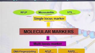BIO301_Topic161
