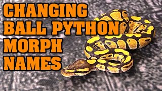 These morph names are STUPID! They CONFUSE people. WE NEED TO CHANGE BALL PYTHON MORPH NAMES!!!