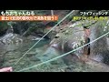 【フライフィッシング】【山梨県】富士川支流の笛吹川で渓魚を狙う！