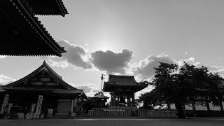 Shichifukujin Pilgrimage to the Shrines \u0026 Temples of the Seven Gods of Good Fortune  池上七福神 Ikegami