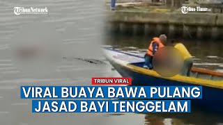 Kronologi Balita Sudah Hilang 3 Hari, Jasadnya Diantar Seekor Buaya Muara