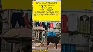 ஐந்தறிவு ஜீவன் உங்கள் அடிமையா#shorts