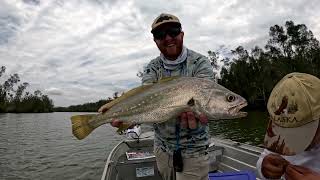 Fishing the Gold Coast/Noosa River with Soft Plastics NEW PB