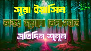 প্রতিদিন সকালে শুনুন  আবেগময় কন্ঠে সূরা ইয়াসিন | Quran Tilawat | Surah Yaseen By Mahmud Huzaifa🌹#