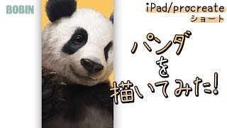 【プロクリエイト/iPad Pro】パンダをリアルめに描く#shorts【デジタルイラスト】