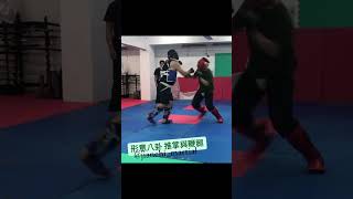 形意八卦 推掌鞭腿 Palm Combo #martialarts #武術 #功夫 #sparring #fight #kungfu #kickboxing #八卦掌 #形意拳 #baguazhang