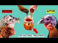 BEST NATURAL TREATMENTS TOTHE  DEADLY BLACKHEAD DISEASE IN TURKEYS AND CHICKENS