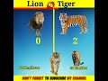 Lion Vs Tiger🔥 Comparison😨Lion versus tiger ❓@BrainXMania #shorts