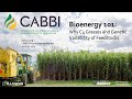 Bioenergy 101: Why C4 Grasses and Genetic Variability of Feedstocks [2019 CABBI Retreat]