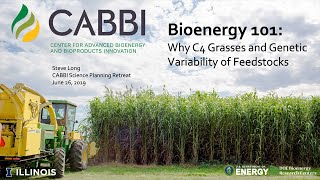 Bioenergy 101: Why C4 Grasses and Genetic Variability of Feedstocks [2019 CABBI Retreat]