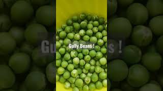 How To Cook Gully Bean #shorts #foryoupage #fyp