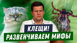 КАК ЗАЩИТИТЬ СОБАКУ ОТ КЛЕЩЕЙ? | КОРОТКО О ВАЖНОМ