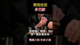 【開悟迷因】多巴胺 | 情緣之始 生命之迷  #靈性成長 #覺醒 #開悟