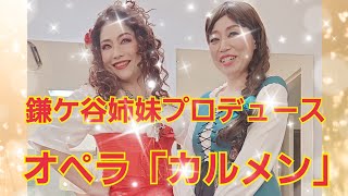 鎌ケ谷で念願のオペラ公演やりました‼️【感動のカルメン】