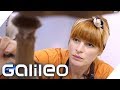 Zu Besuch bei der Schokoladen-Architektin | Galileo | ProSieben