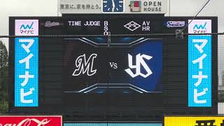 20240528　　Interleague　TOKYO YAKULT SWALLOWS - CHIBA LOTTE MARINES　　セ・パ交流戦　ヤクルト－ロッテ　神宮