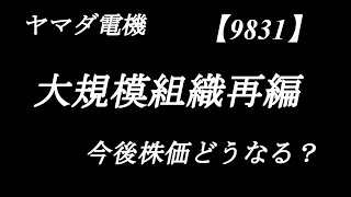 ヤマダHDグループの大規模な組織再編　【9831】小売業