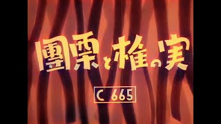 団栗と椎の実 / Acorns (1941) [カラー化 映画 フル / Colorized, Full Movie]