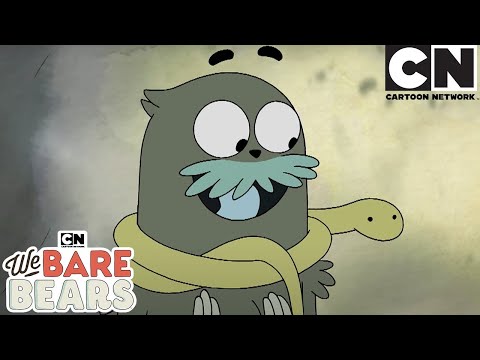 Charlie & the Snake – We Bare Bears Cartoon Network Cartoons for Kids