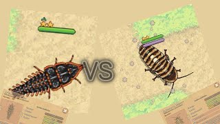 Trilobite beetle VS Halloween Hisser [pocket ants 2024 halloween event]