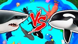 Sharks vs Animals – Learn Sea Animal and Wild Animal Names and Facts in Shark Video Water Battle