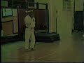 isshinryu seisan kata performed by master angi uezu