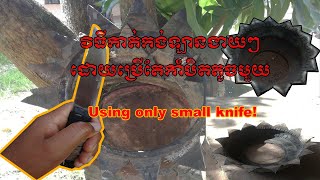 របៀបកាត់កង់ឡានសម្រាប់ដាំដំណាំ ដោយប្រើកូនកាំបិត Using only small knife!