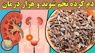 خواص بی نظیر دانه شوید و نحوه مصرف درست آن