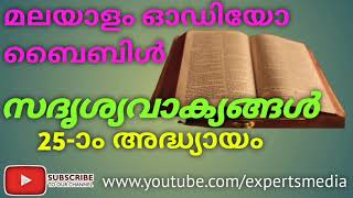 Bible Reading Malayalam | സദൃശ്യവാക്യങ്ങൾ  25-ാം അദ്ധ്യായം