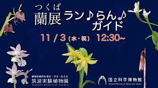 つくば蘭展　ラン♪らん♪ガイド