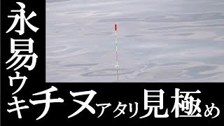 【清水港】永易ウキを使用したチヌ釣り（紀州釣り）におけるチヌアタリとボラアタリの見極め