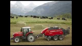 Massey Ferguson MF 2200