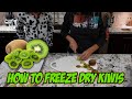 How to Freeze Dry Kiwis