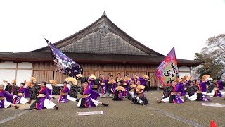 丹波沼貫よさこいチーム 一心貫 @ 篠山よさこいまつり (大書院会場) 2019-04-14T11:21