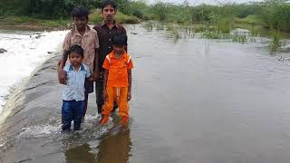 Damal lake காஞ்சிபுரம் பாலாறு வெள்ளம் பெருக்கெடுத்து ஓடுவதால் தாமல் ஏரி நிரம்பி வழிந்தது kanchi cook