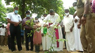 5 സെന്റിൽ 500 മരങ്ങൾ; കുട്ടിവനം പദ്ധതി ഫാത്തിമ മാതാ കോളജിൽ | Fathima matha college