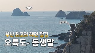 부산 최고의 해안 절경 👍 오륙도에서 동생말전망대까지 4.3km | 해파랑길 1코스 | 부산에 가면 꼭 걸어보아야 할 곳 | 이기대해안길 | 동생말전망대