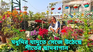 শীতের সেরা রঙিন ছাদবাগান বানিয়েছেন মধুদি / Rooftop garden overview / @anirban_halder  /