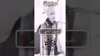 تاجدار ختم نبوت زندہ باد  #islamic #islamic youtube short video viral