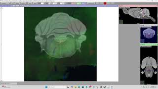 QUINT Workflow Detailed Tutorial