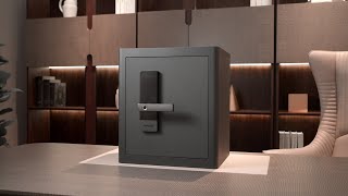 RPHS Series-Smart Touchscreen Home Safe
