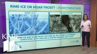 WeatherMinds: Is it rime ice or hoar frost?