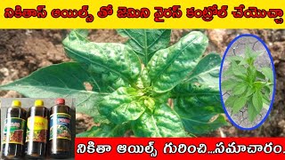 నికితాస్ ఆయిల్స్ ఎలా వాడుకోవాలి ? || పెట్టుబడి ఎంత అవుతాది? || మరింత స్పష్టమైన సమచారం మీకోసం...