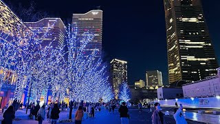 Japan Yokohama 2021 横浜 みなとみらい ランドマークタワー周辺クリスマスイルミネーション🎄🤶