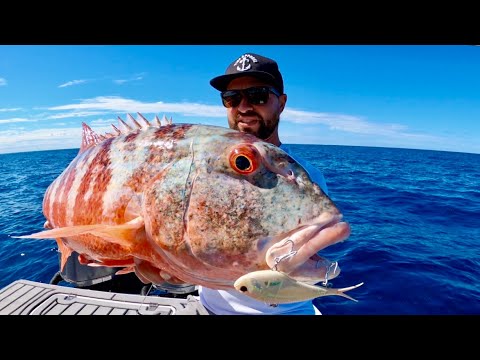 This Lure Catches Everything Youtube