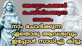 നമ്മുടെ ആവശ്യങ്ങൾ സമർപ്പിച്ച് ഈ നിമിഷം നമുക്ക് പ്രാർത്ഥിക്കാം.....